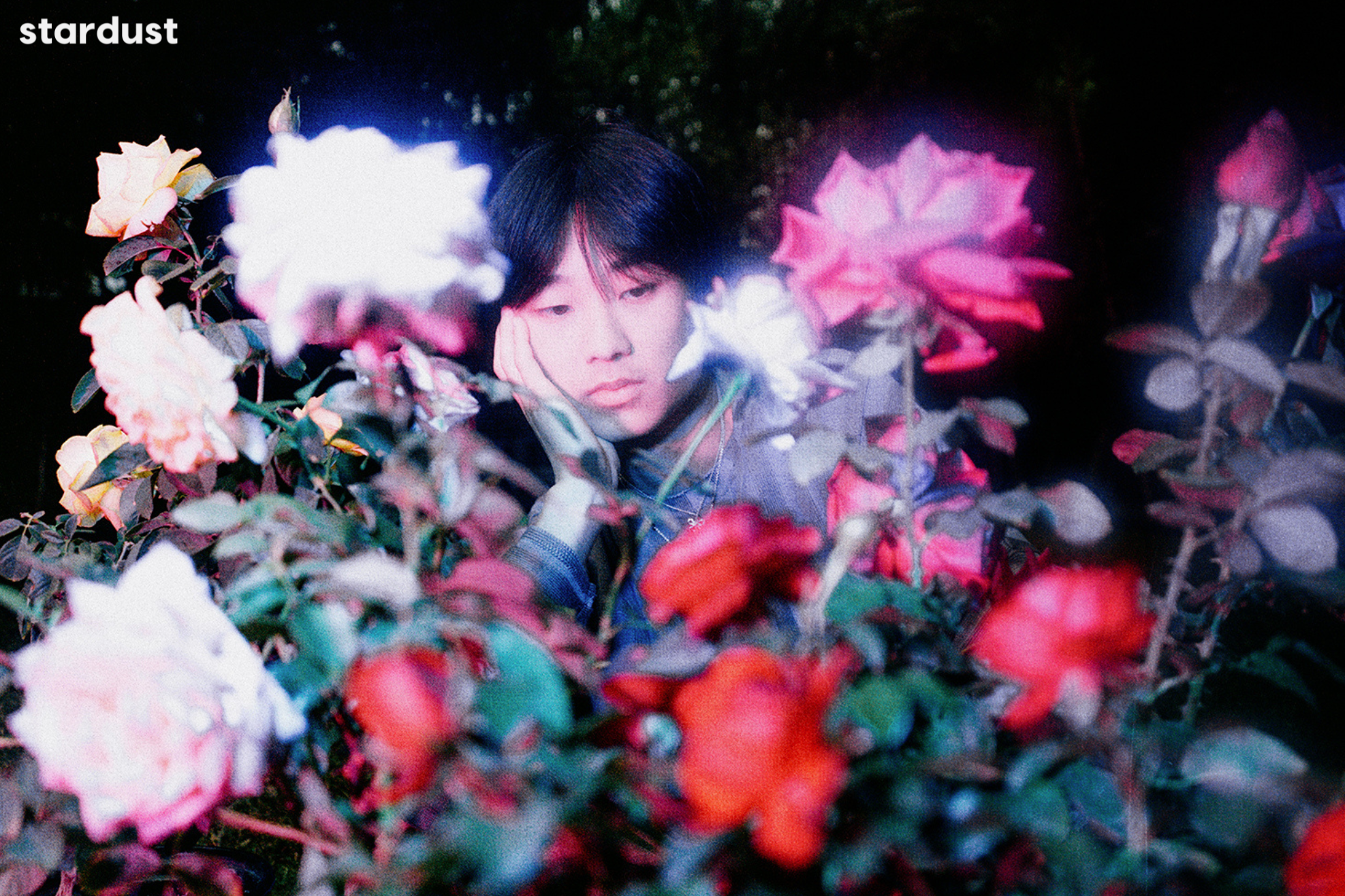 yung kai — Stardust Magazine